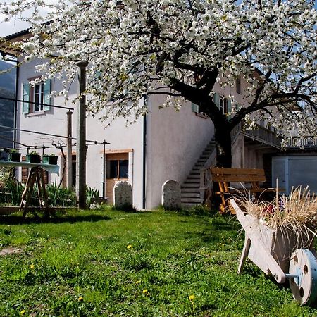 B&B La Fosina Mezzolombardo Luaran gambar