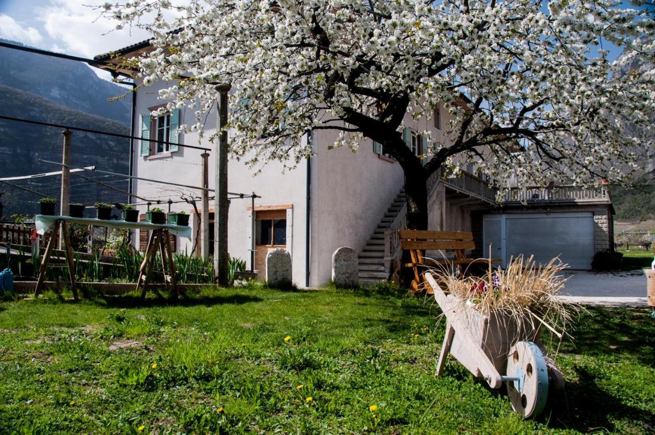 B&B La Fosina Mezzolombardo Luaran gambar